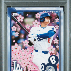 Collection image for: Baseball