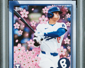Collection image for: Baseball