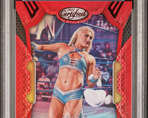 Collection image for: Boxing/Wrestling