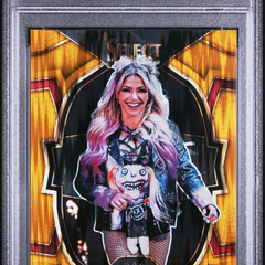 Collection image for: Boxing/Wrestling