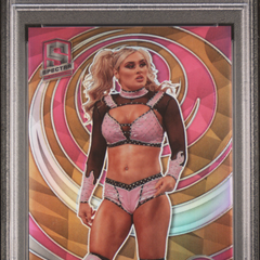 Collection image for: Boxing/Wrestling